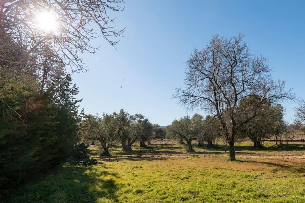 Finca El Palomar De La Vina Мадрид Екстер'єр фото